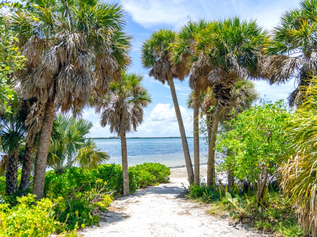 Sandy path lined with palm trees leading to ocean in Captiva, Florida