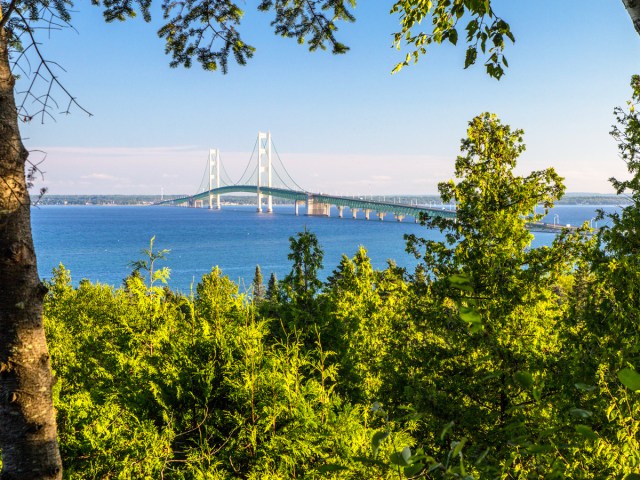 View of the Mackinac Bridge on the Upper Peninsula framed by trees