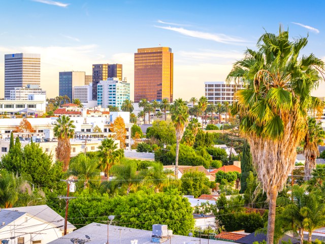 Palm trees and high-rises in Beverly Hills, California