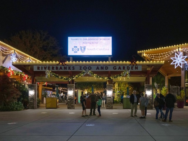 Guests visiting Riverbanks Zoo and Garden in South Carolina at night
