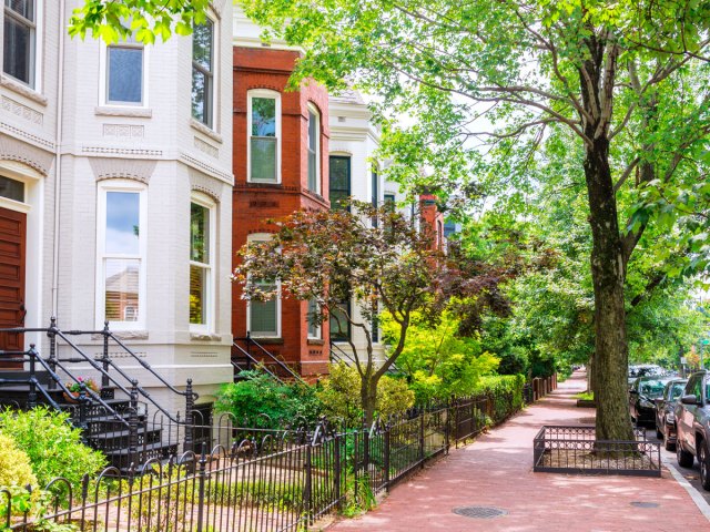 Residential street in Washington, D.C.
