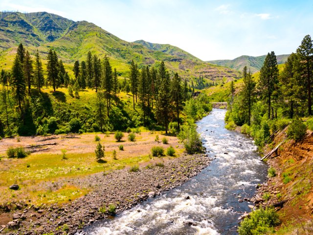 Snake River flowing through Hells Canyon National Recreation Area 