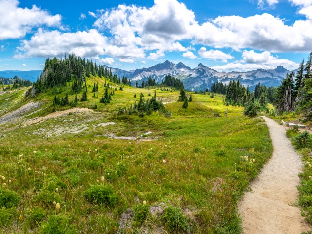 A Guide to America’s 11 National Scenic Trails