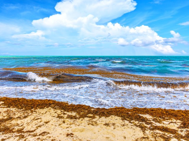 Waves crashing ashore in the Gulf of Oman, part of the Arabian Sea