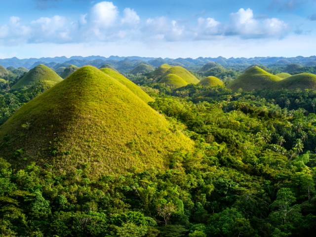 The Chocolate Hills of the Philippines  