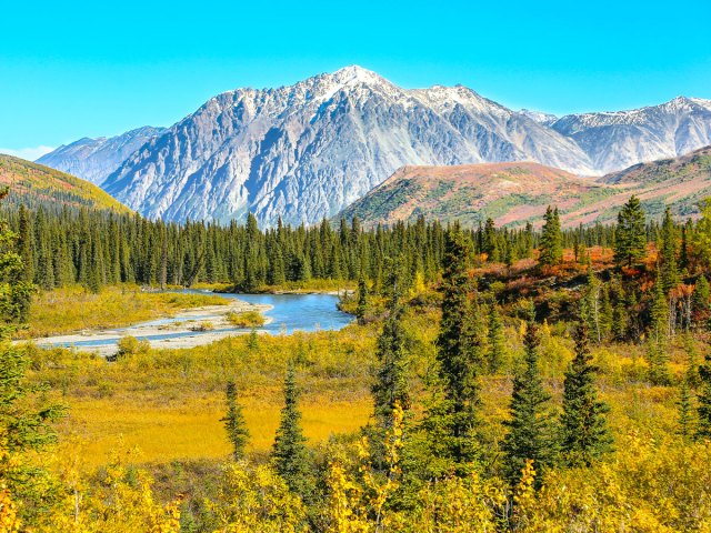Rivers, meadows, forests, and mountain peaks in the Denali Wilderness of Alaska