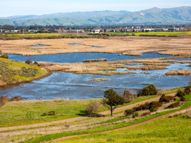 Coyote Hills Regional Park in Fremont, California