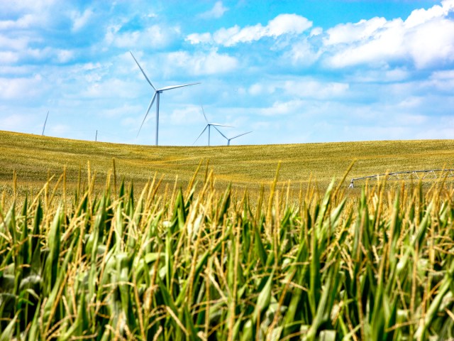 Nebraska corn fields with wind turbines