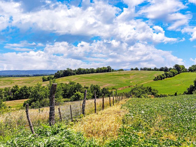 Rural landscape in the Midwest