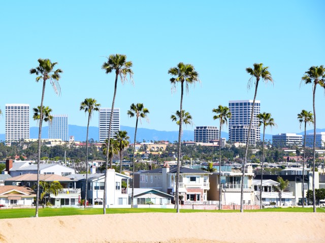 Palm trees with high-rises in background in Irvine, California