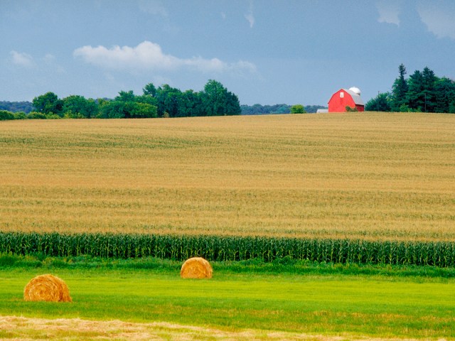 Bales of hay on vast corn field in Illinois