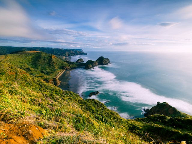 Rugged coastline of New Zealand