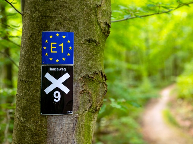 Trail marker on tree for the E1 European Long Distance Path