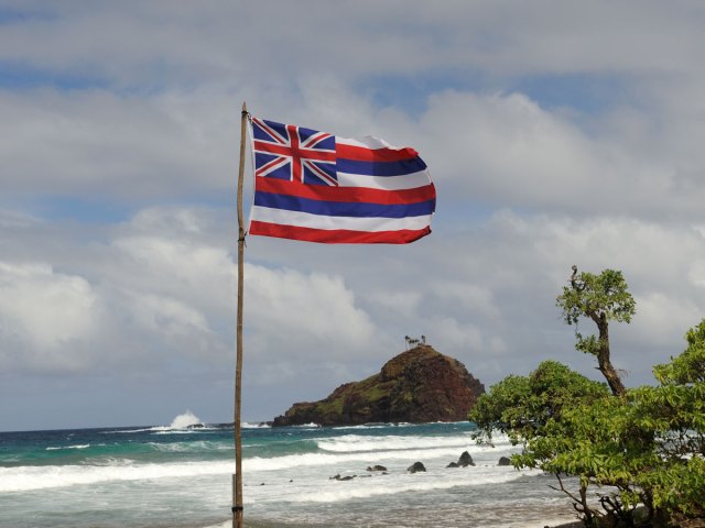 Hawaii flag flying over beach