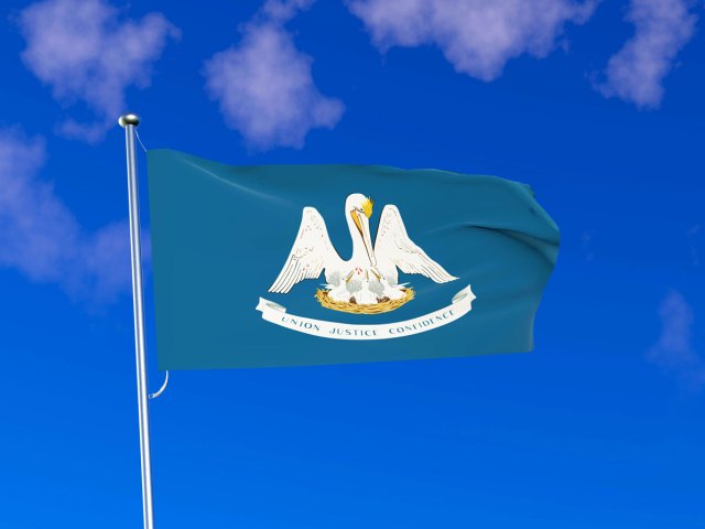 Louisiana flag
