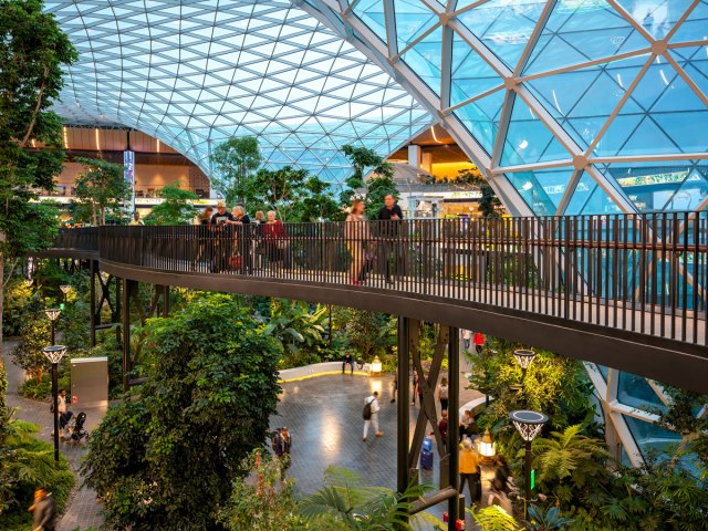 Canopy walk at Singapore Changi Airport