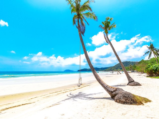Swing hanging from palm tree on sandy beach in Phu Quoc, Vietnam