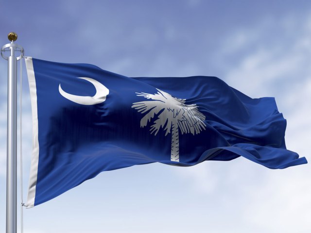South Carolina flag