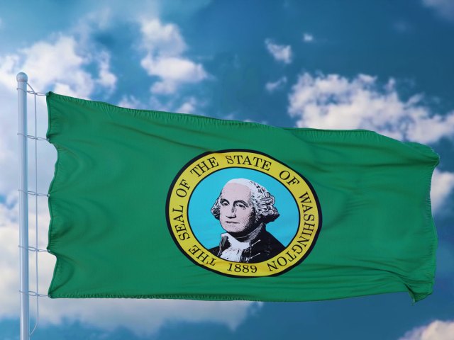 Washington state flag