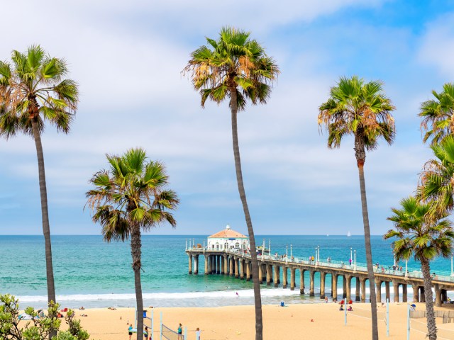 Pier and palm trees in Manhattan Beach, California