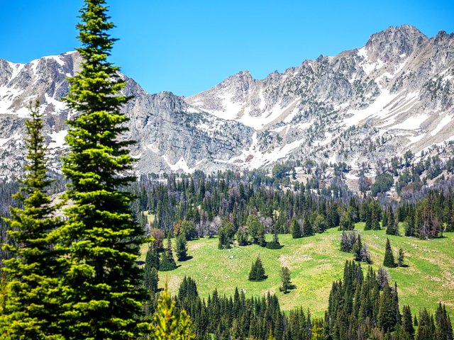 Snow-capped mountains and forests outside of Bozeman, Montana