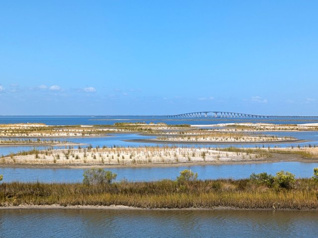 Coastal dunes on Dauphin Island in Alabama
