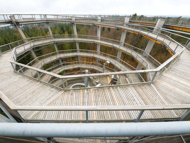 Spiraling canopy walkway of Germany's Baumwipfelpfad Schwarzwald