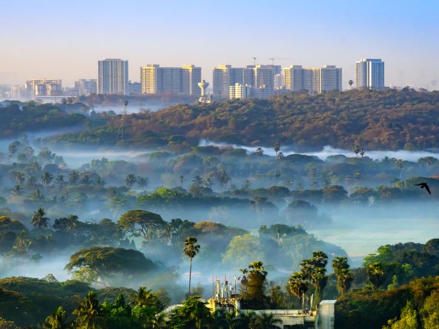 Low clouds over Sanjay Gandhi National Park in Mumbai, India