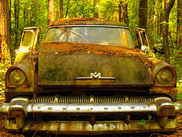Abandoned car in forest at Old Car City USA in Georgia