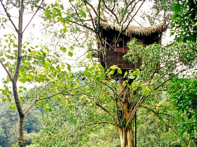 Treehouse at India's Green Magic Resort