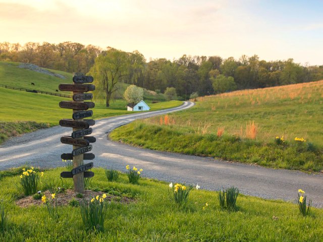 Farmland outside of Middleburg, Virginia