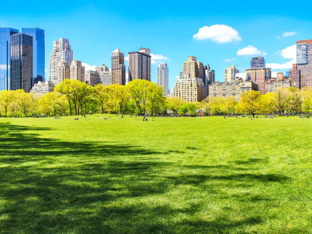 Central Park with views of Manhattan skyscrapers