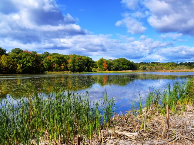 Lake with reflection of clouds in Toronto's Rouge National Urban Park