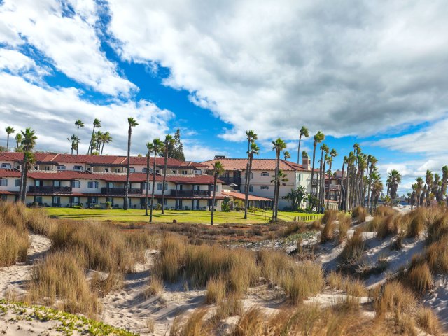 Palm trees and plants swaying in the wind in Oxnard, California