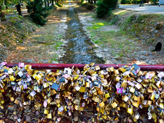 Thousands of padlocks covering the Bridge of Love in Serbia